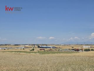 Αγροτεμάχια 6.814 τ.μ. για πώληση