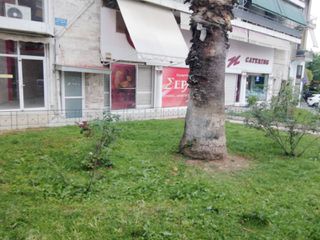 Αναζηταω οδηγο με διπλωμα β