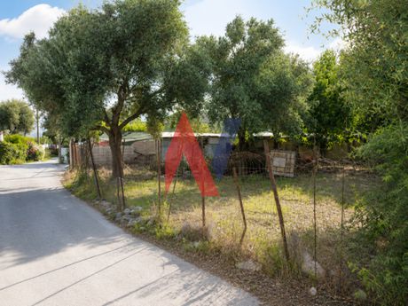 Αγροτεμάχια 240 τ.μ. προς πώληση
