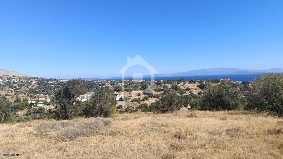 Οικόπεδο 10.450 τ.μ. προς πώληση, Πόλη Χίου