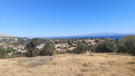 Οικόπεδο 10.450 τ.μ. για πώληση