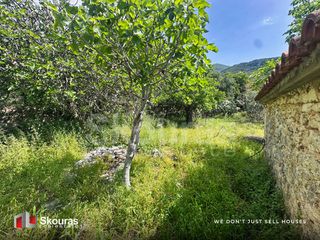 Οικόπεδο 698,12 τ.μ. για πώληση, Μεσσηνία, Αβία-thumb-9