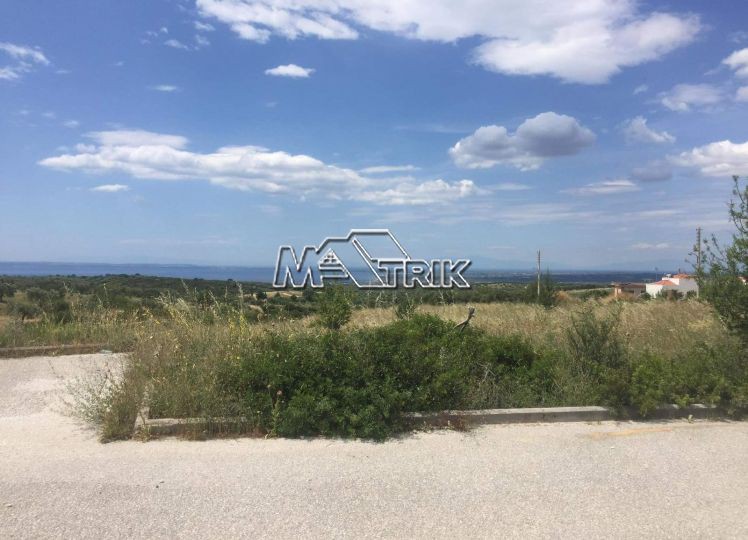 Οικόπεδο 500 τ.μ. πρός πώληση, Χαλκιδική, Πολύγυρος