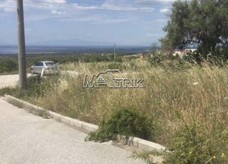 Οικόπεδο 500 τ.μ. για πώληση, Χαλκιδική, Πολύγυρος-thumb-8