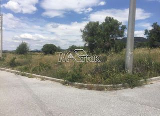 Οικόπεδο 500 τ.μ. για πώληση, Χαλκιδική, Πολύγυρος-thumb-9