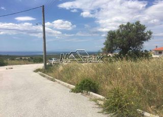 Οικόπεδο 500 τ.μ. για πώληση, Χαλκιδική, Πολύγυρος-thumb-7
