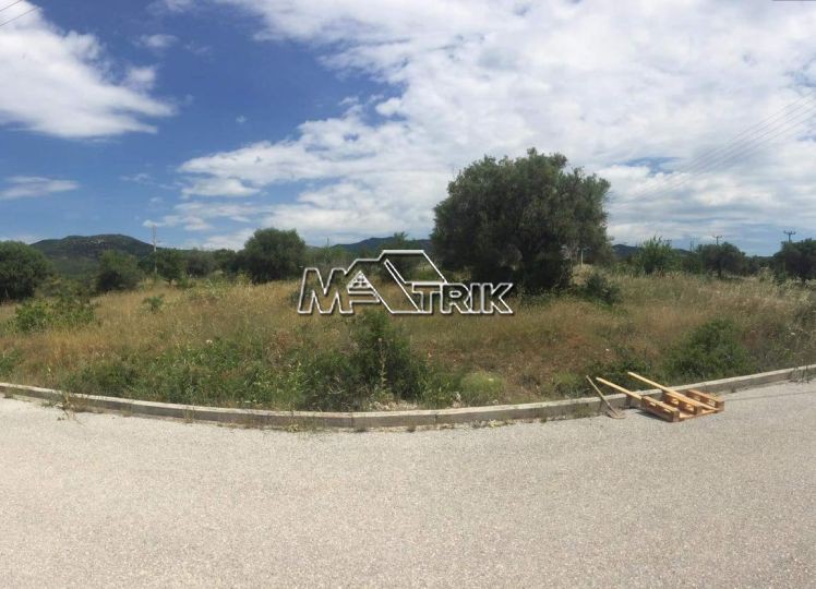 Οικόπεδο 500 τ.μ. πρός πώληση, Χαλκιδική, Πολύγυρος