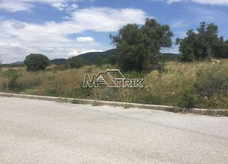 Οικόπεδο 500 τ.μ. για πώληση, Χαλκιδική, Πολύγυρος-thumb-3