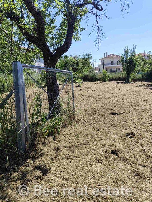 Οικόπεδο 400 τ.μ. προς πώληση, Ανεμούτσα