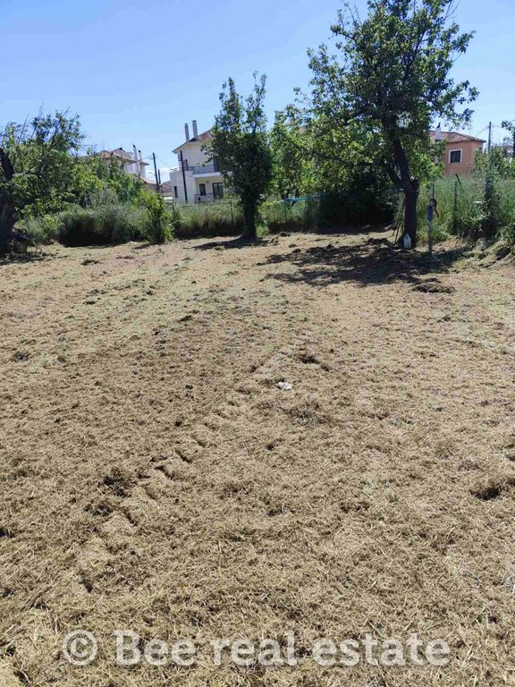 Οικόπεδο 400 τ.μ. προς πώληση, Ανεμούτσα