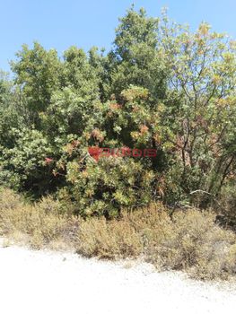Land plot 348 sqm for sale