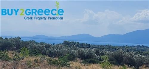 Αγροτεμάχια 5.700 τ.μ. προς πώληση, Νεροτριβιά