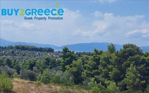 Αγροτεμάχια 5.700 τ.μ. προς πώληση, Νεροτριβιά