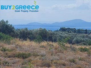 Αγροτεμάχια 5.700 τ.μ. για πώληση