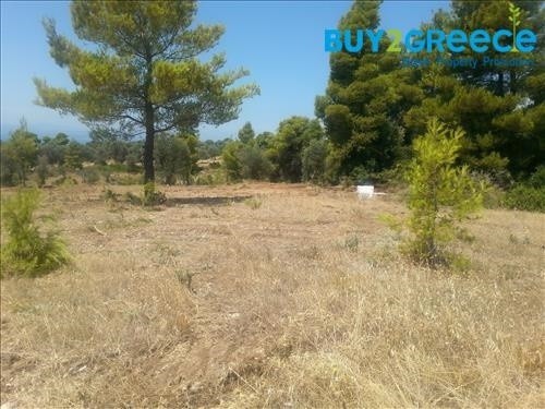 Αγροτεμάχια 5.700 τ.μ. προς πώληση, Νεροτριβιά
