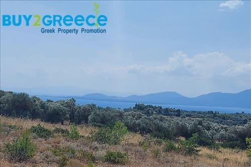 Αγροτεμάχια 5.700 τ.μ. προς πώληση, Νεροτριβιά