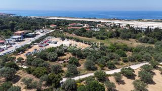 Αγροτεμάχια 4.543 τ.μ. για πώληση