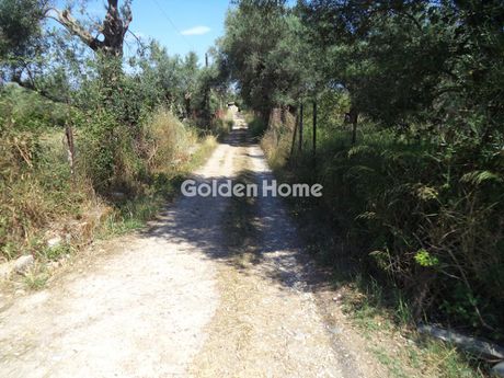 Αγροτεμάχια 2.704 τ.μ. προς πώληση