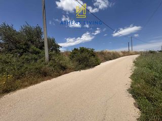 Οικόπεδο 12.257 τ.μ. για πώληση