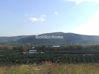 Αγροτεμάχια 7.308 τ.μ. για πώληση