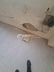 Αποθήκη 20 τ.μ. για πώληση, Αχαΐα, Πάτρα-thumb-13