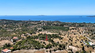 Αγροτεμάχια 5.567 τ.μ. για πώληση