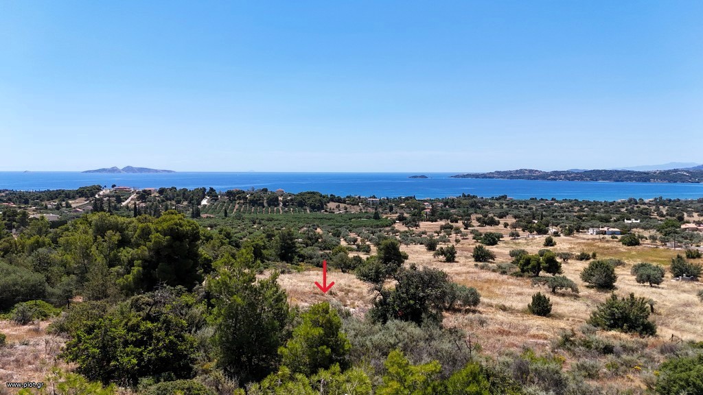 Αγροτεμάχια 5.567 τ.μ. προς πώληση, Πετροθάλασσα