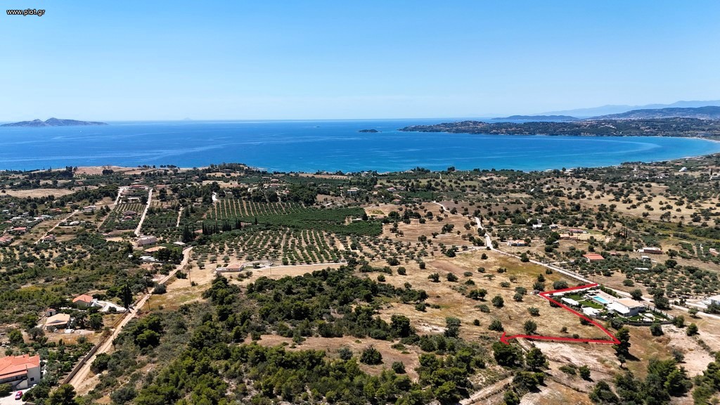 Αγροτεμάχια 5.567 τ.μ. προς πώληση, Πετροθάλασσα