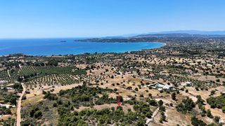 Αγροτεμάχια 5.567 τ.μ. για πώληση, Αργολίδα, Κρανίδι-thumb-5