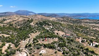 Αγροτεμάχια 5.567 τ.μ. για πώληση, Αργολίδα, Κρανίδι-thumb-9