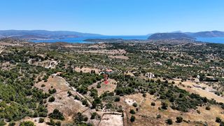 Αγροτεμάχια 5.567 τ.μ. για πώληση, Αργολίδα, Κρανίδι-thumb-11
