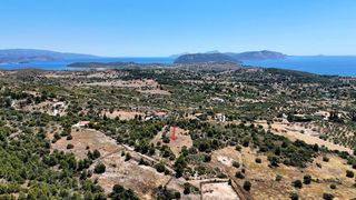 Αγροτεμάχια 5.567 τ.μ. για πώληση, Αργολίδα, Κρανίδι-thumb-12