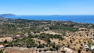 Αγροτεμάχια 5.567 τ.μ. για πώληση, Αργολίδα, Κρανίδι-thumb-13