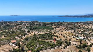 Αγροτεμάχια 5.567 τ.μ. για πώληση, Αργολίδα, Κρανίδι-thumb-14