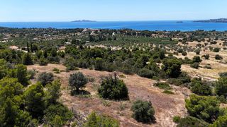 Αγροτεμάχια 5.567 τ.μ. για πώληση, Αργολίδα, Κρανίδι-thumb-16
