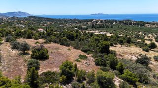 Αγροτεμάχια 5.567 τ.μ. για πώληση, Αργολίδα, Κρανίδι-thumb-17