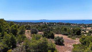 Αγροτεμάχια 5.567 τ.μ. για πώληση, Αργολίδα, Κρανίδι-thumb-21