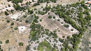 Αγροτεμάχια 5.567 τ.μ. για πώληση, Αργολίδα, Κρανίδι-thumb-22