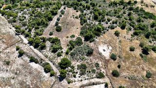 Αγροτεμάχια 5.567 τ.μ. για πώληση, Αργολίδα, Κρανίδι-thumb-23