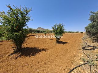 Οικόπεδο 9.972 τ.μ. πρός πώληση, Ν. Ηρακλείου, Γούβες-thumb-2