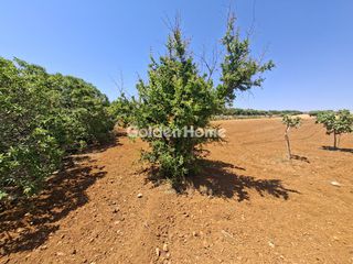 Οικόπεδο 9.972 τ.μ. πρός πώληση, Ν. Ηρακλείου, Γούβες-thumb-8