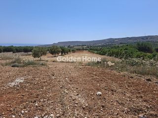 Οικόπεδο 9.972 τ.μ. για πώληση