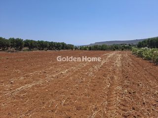 Οικόπεδο 9.972 τ.μ. πρός πώληση, Ν. Ηρακλείου, Γούβες-thumb-14