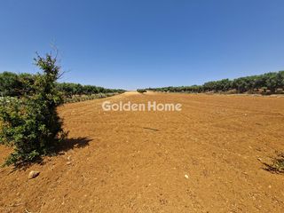 Οικόπεδο 9.972 τ.μ. πρός πώληση, Ν. Ηρακλείου, Γούβες-thumb-6
