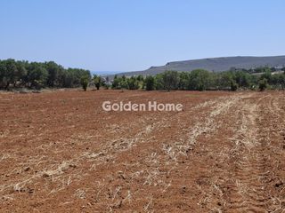 Οικόπεδο 9.972 τ.μ. πρός πώληση, Ν. Ηρακλείου, Γούβες-thumb-13