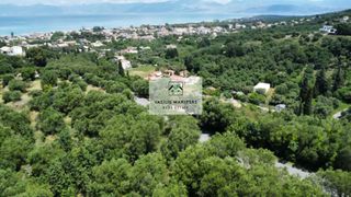 Οικόπεδο 6.000 τ.μ. για πώληση