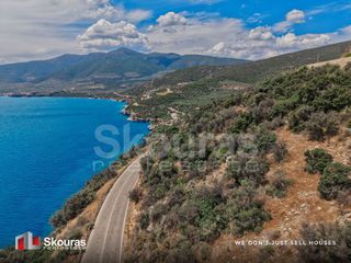 Αγροτεμάχια 7.680 τ.μ. για πώληση, Αργολίδα, Λέρνα-thumb-13