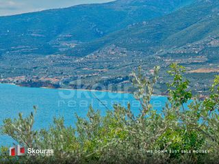 Αγροτεμάχια 7.680 τ.μ. για πώληση, Αργολίδα, Λέρνα-thumb-21