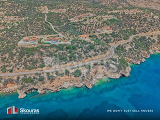 Αγροτεμάχια 7.680 τ.μ. για πώληση, Αργολίδα, Λέρνα-thumb-8