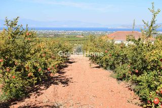 Οικόπεδο 6.000 τ.μ. για πώληση, Κορινθία, Βόχα-thumb-1
